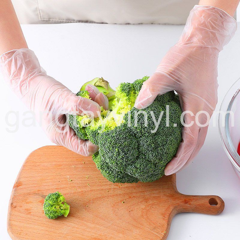 Găng tay Vinyl PVC glove size M 100c/hộp