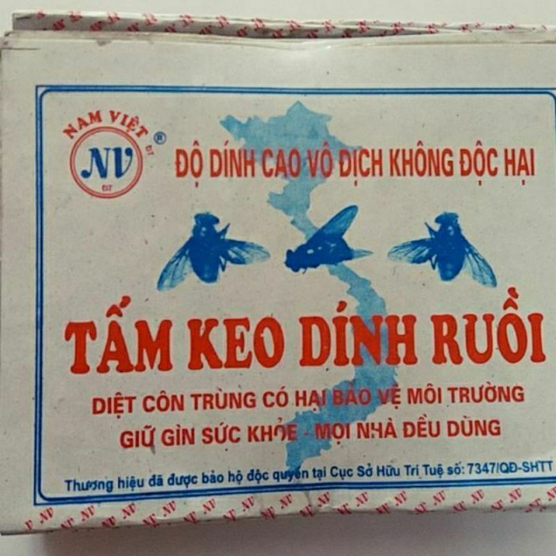 10 tấm keo dính ruồi siêu dính