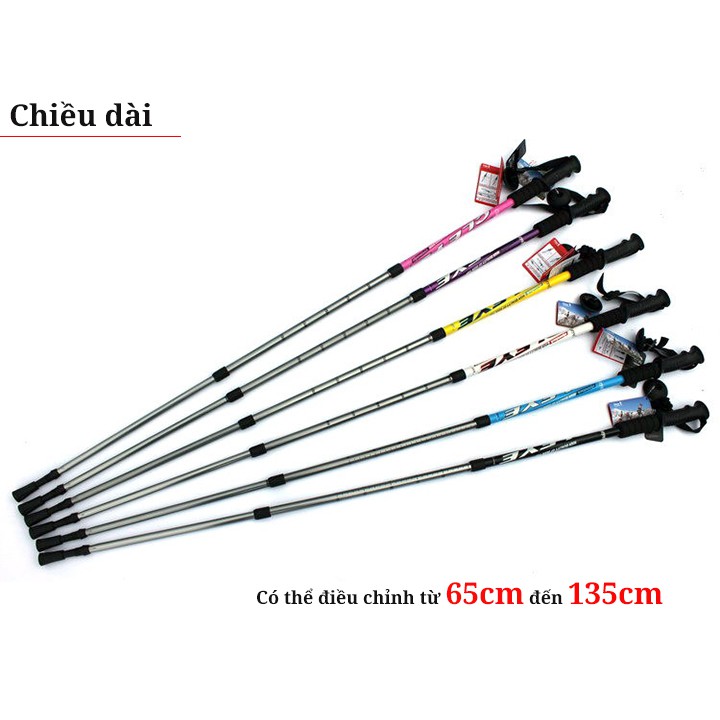 Gậy leo núi đi rừng trekking GA2