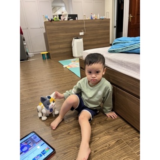 Bộ thể thao da cá phong cách cho bé của HRNEE /HONEE