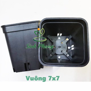 Chậu vuông 7x7 đen (Set 100 cái).