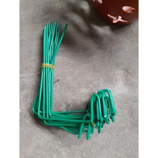 1 Que kẹp chậu giữ kie