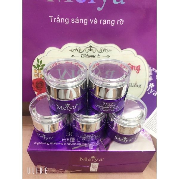 Kem đêm Meiya tím (Night Cream)