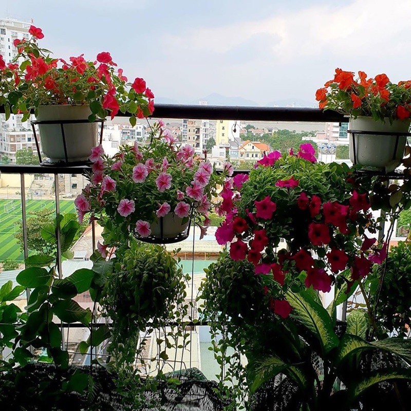 Giỏ treo hoa ban công trang trí decor GREEN HOME hàng loại 1
