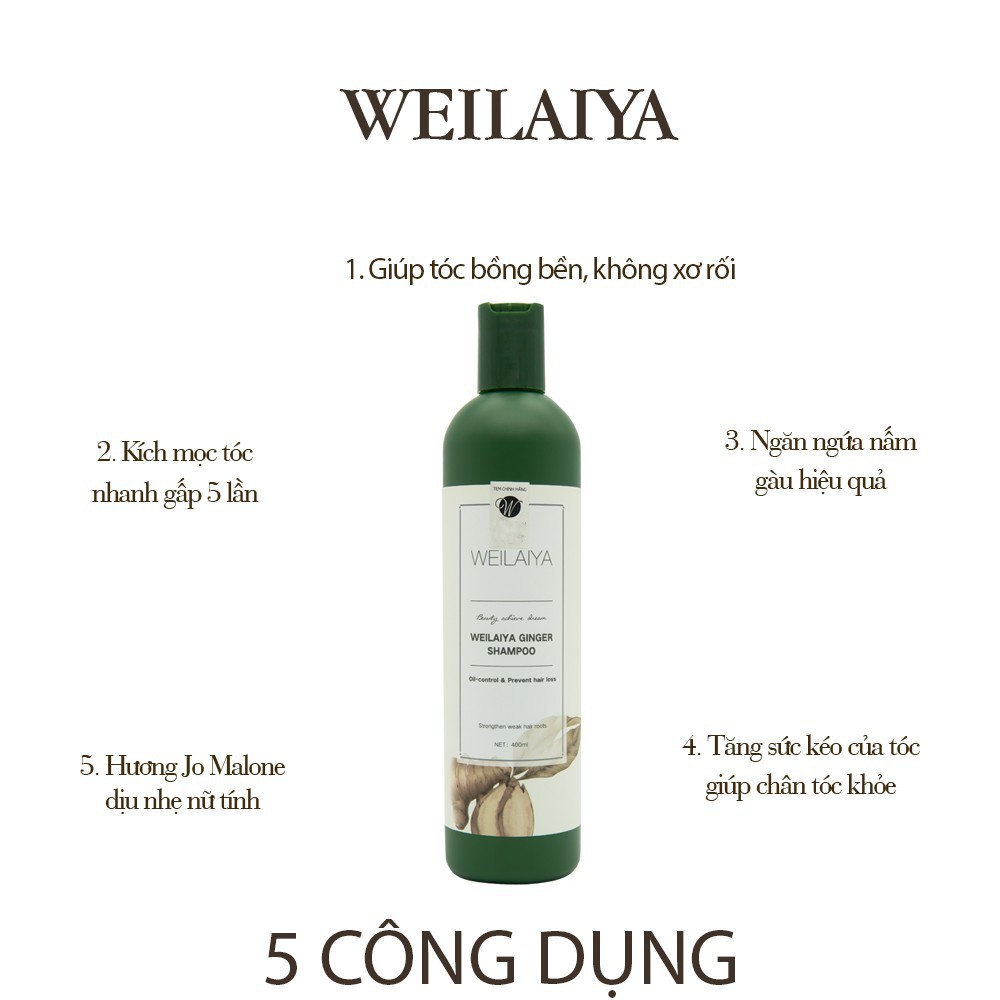 Dầu gội gừng Weilaiya Ginger Zuka Beauty tinh chất gừng kích thích mọc tóc, ngăn ngừa gàu gội 400ml xả 250ml