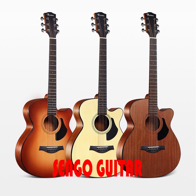 Đàn Guitar Acoustic Rosen G15.