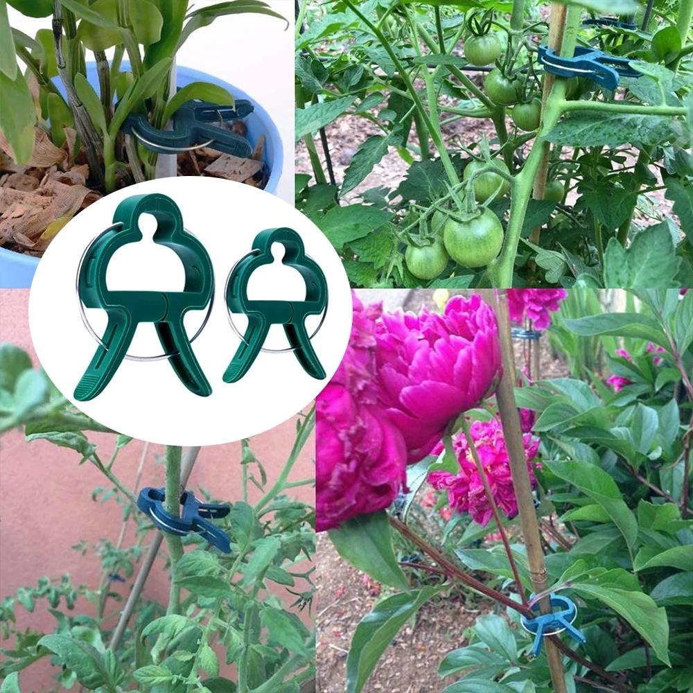Kẹp Cố Định Cành Cây Lan / Cà Chua Chống Thời Tiết Tiện Dụng Cho Sân Vườn