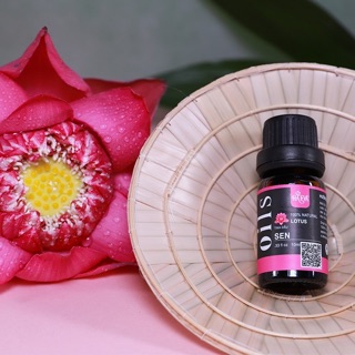 [FREESHIP]Tinh dầu Sen Haeva (dung tích 10ml 30ml 100ml)