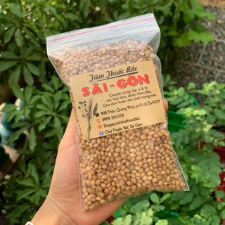Hạt Ngò 100g