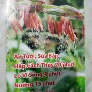 🌽🌽🤗BẮP NỮ HOÀNG ĐỎ🌽🌽😍