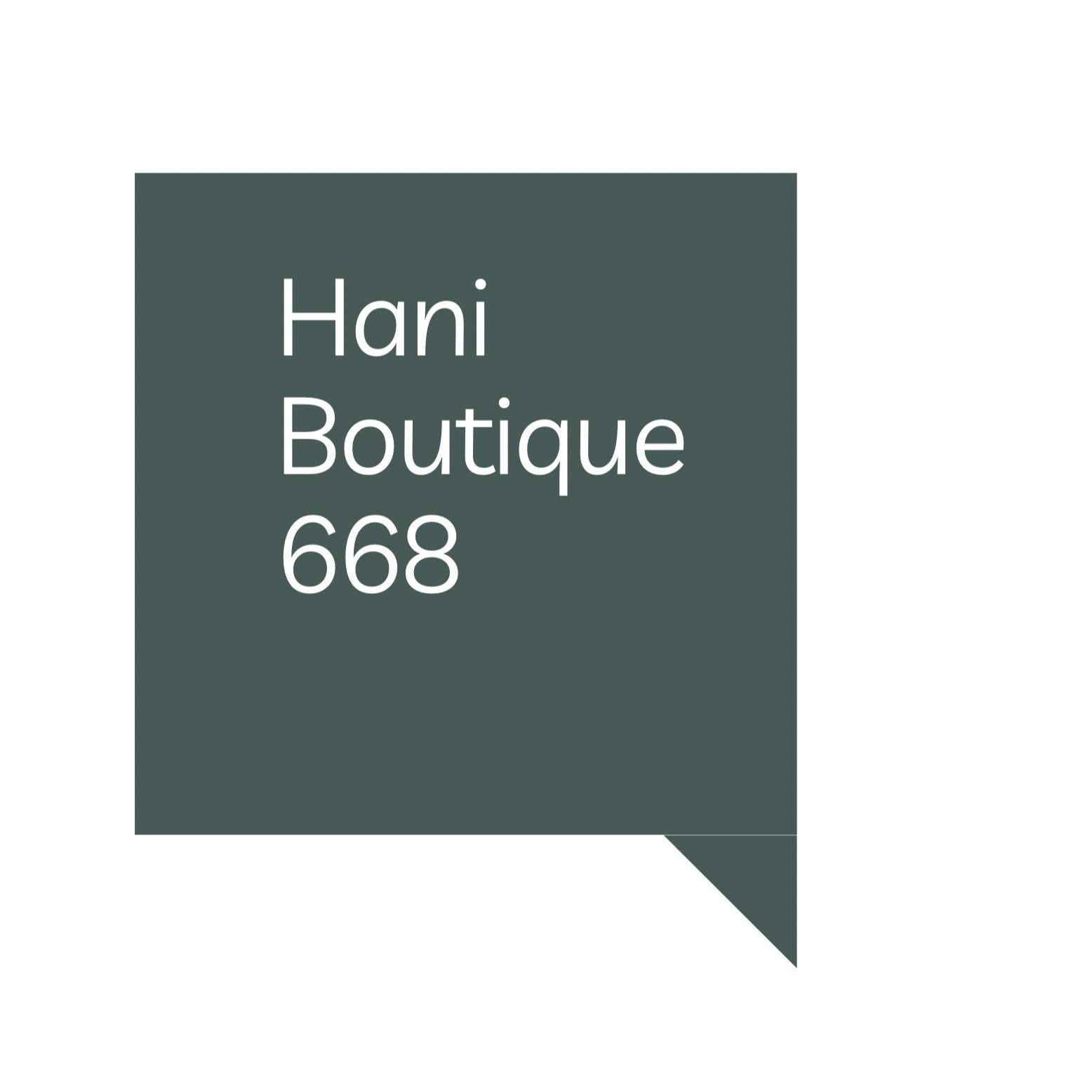 HaniBoutique668