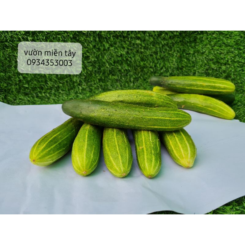 Dưa leo ở quê - 500g,1kg