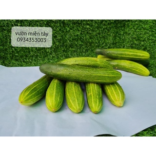 Dưa leo ở quê - 500g,1kg