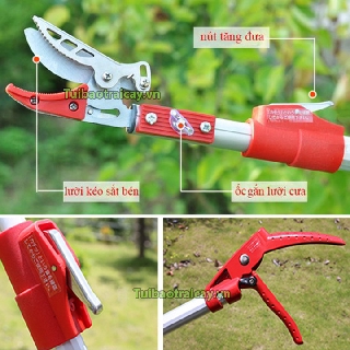 Kéo cắt quả, tỉa cành trên cao loại 4M - K61