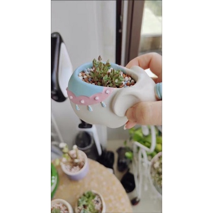 Chậu cây sen đá hình thú cute oder