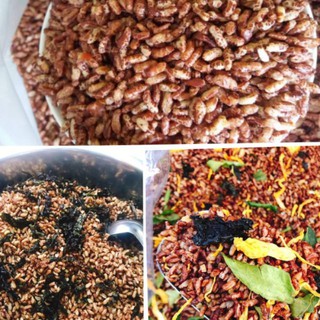500 gam Gạo lức sấy các loại .