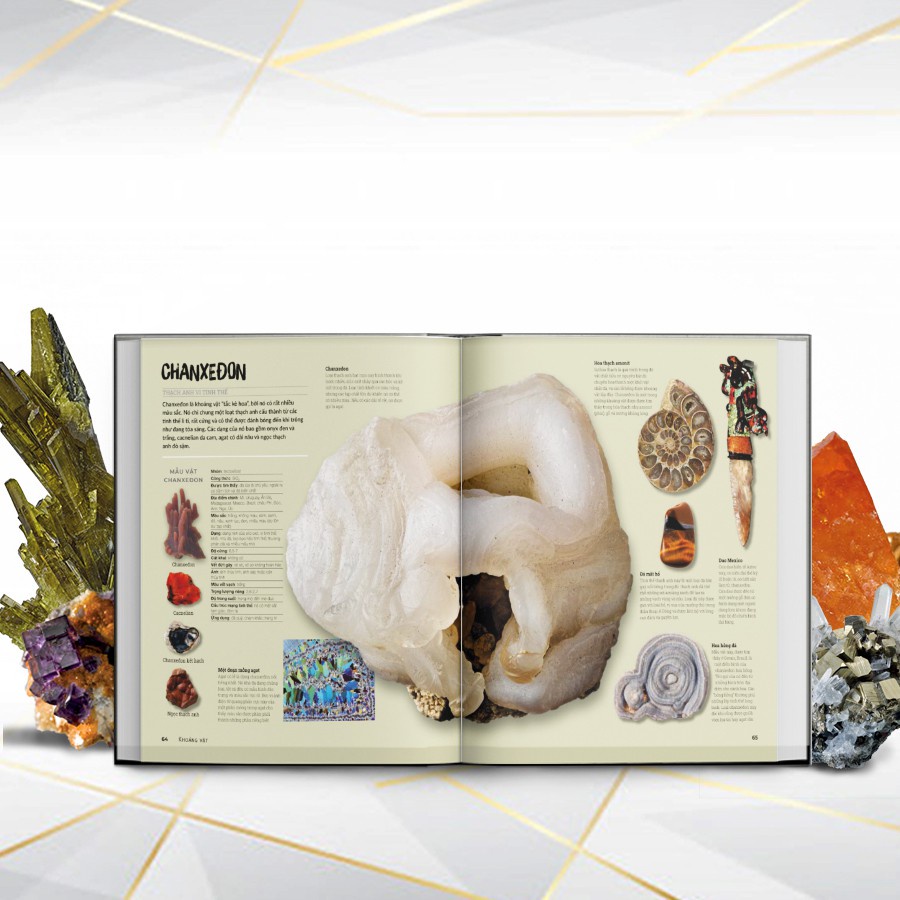 Sách - Đá Quý Và Khoáng Sản - Bách khoa toàn thư bằng hình ảnh