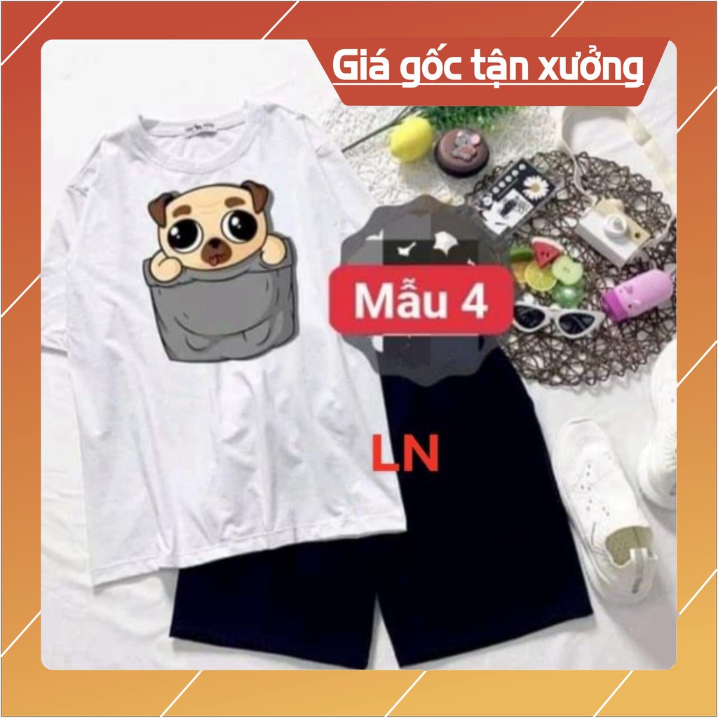 Sét áo 3D in hình + quần đùi đen LN12