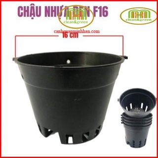 Combo 10 chậu nhựa đen trồng lan phi 12
