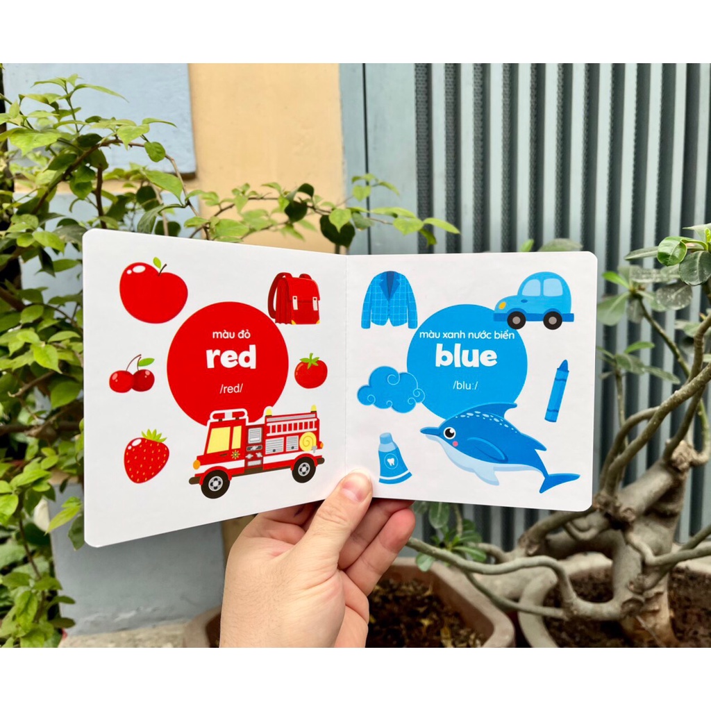 Sách - Thư viện hình ảnh đầu tiên Baby's First Picture Book