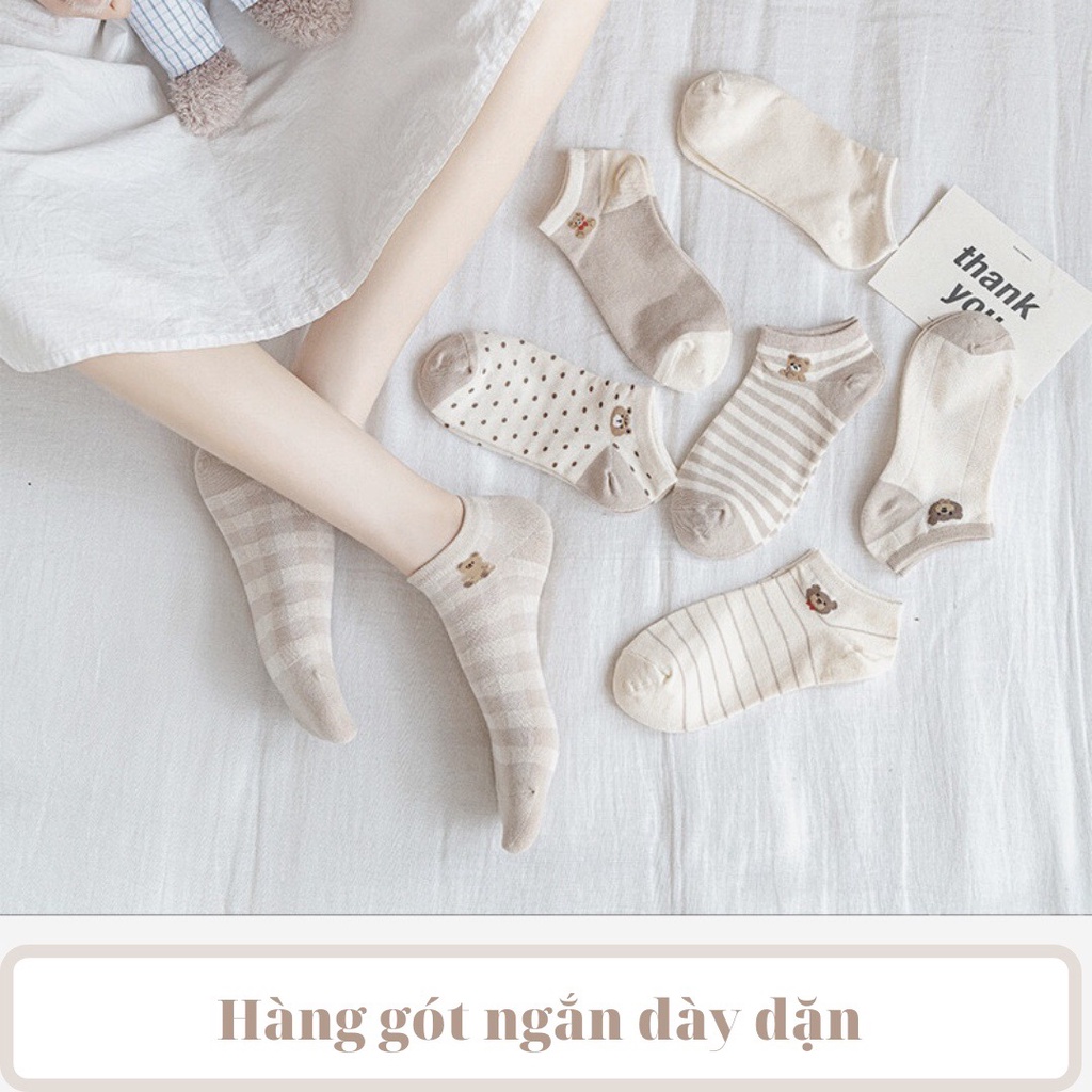 Tất nữ vớ nữ cổ ngắn set 5 đôi họa tiết cute dễ thương phong cách Hàn Quốc