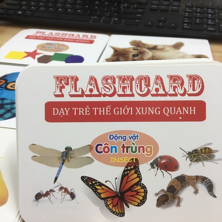 Bộ thẻ học thông minh Flash card 14 chủ đề 280 thẻ dạy trẻ về thế giới xung quanh (Anh - Việt