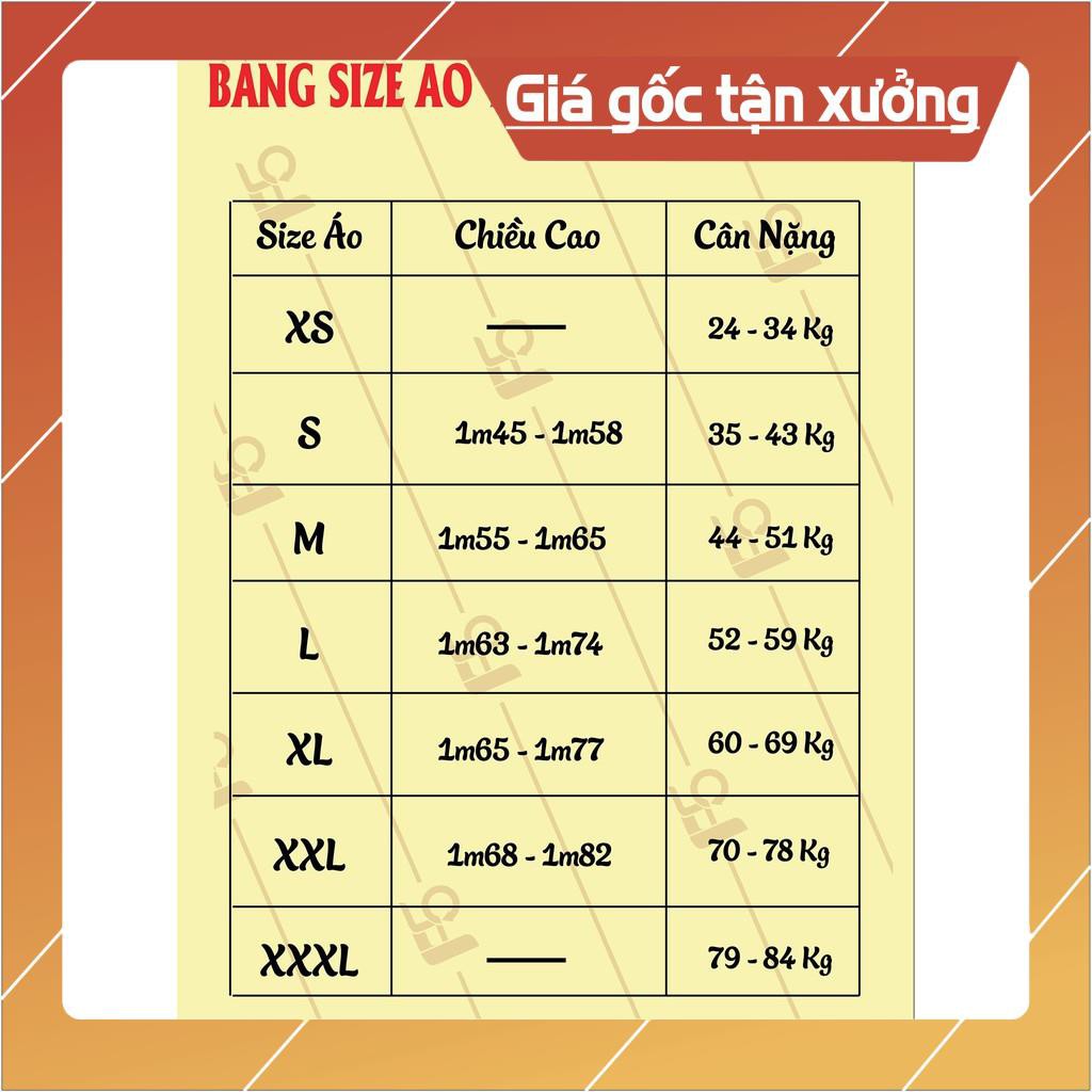 😍SALE HÈ😍 Áo Phông Đẹp Giá Rẻ Mèo Ami bụng bự siêu to khổng lồ