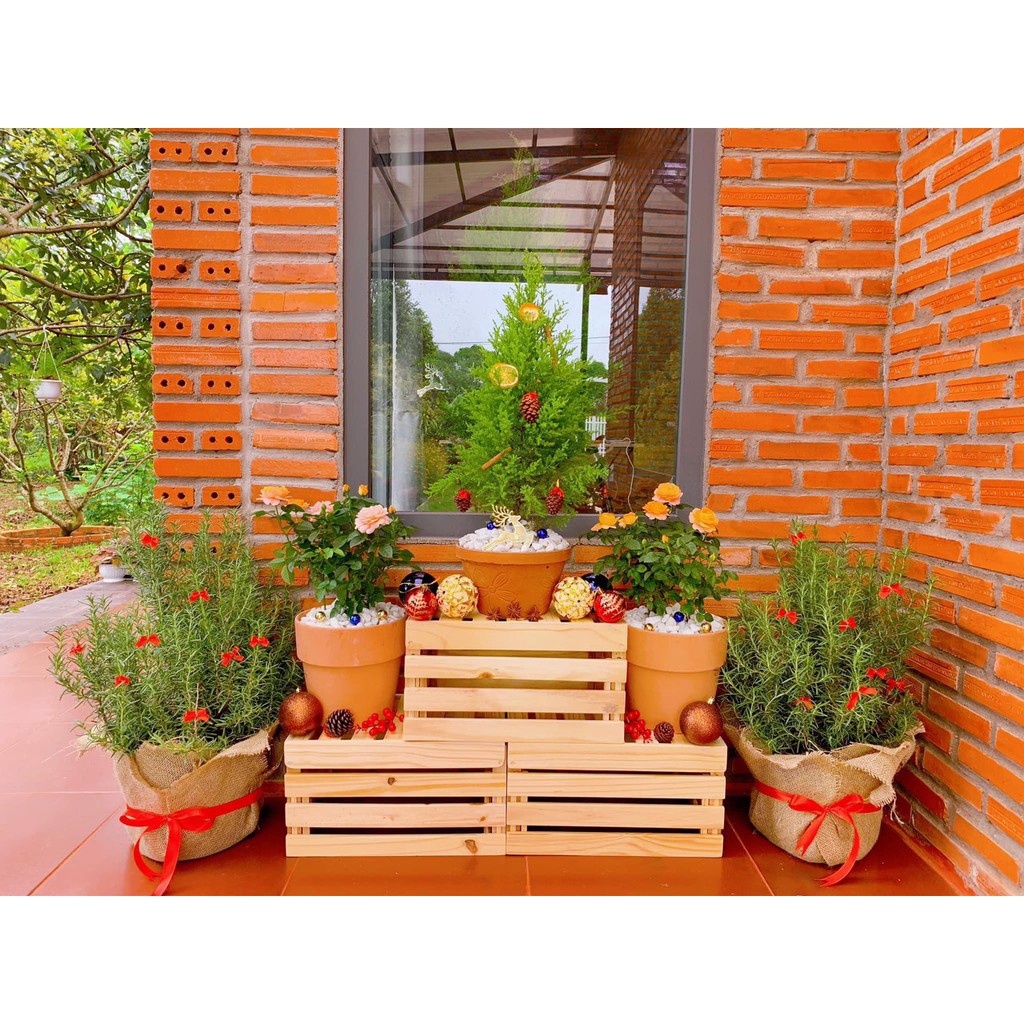 Combo 10 Box Gỗ MultiBox, Thùng Gỗ Pallet Lắp Ráp Gỗ Đẹp Decor Indoor Và Outdoor - Wooden SmartBox