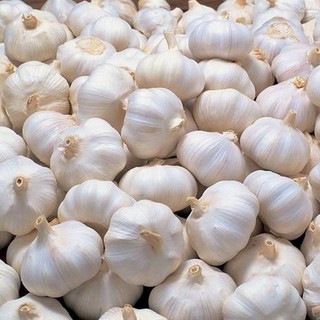 Bột Tỏi 100g