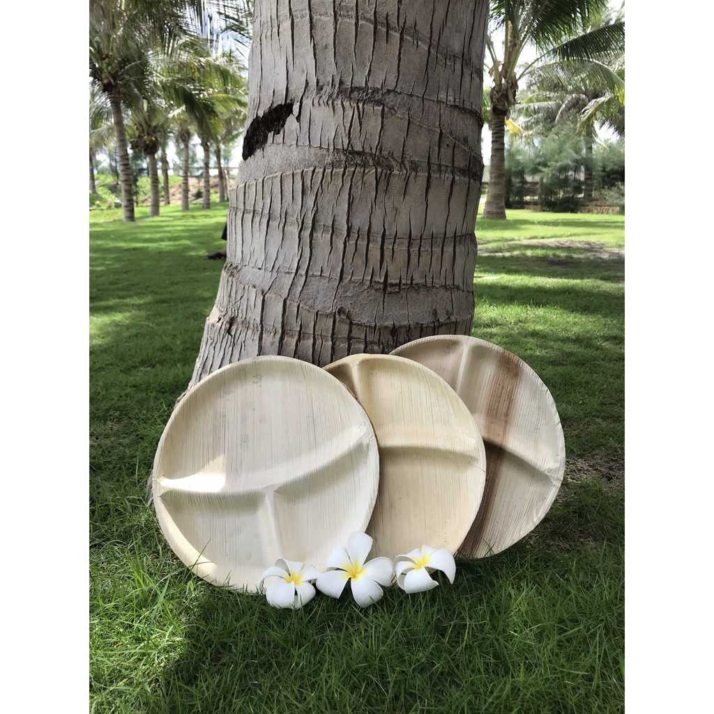 Khay mo cau 3 ngăn/ Set 5 cái/tea break/chén đĩa mo cau dùng 1 lần tiện lợi, thân thiện môi trường/ mo cau xứ Tiên