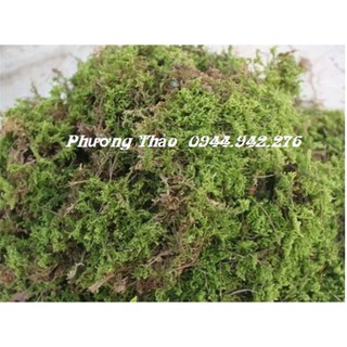Rêu rừng trồng lan khối lượng 0,5 kg