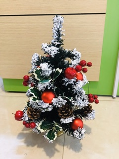 Cây thông mini có tán 30cm, 45cm, 60cm [Ảnh Thật]