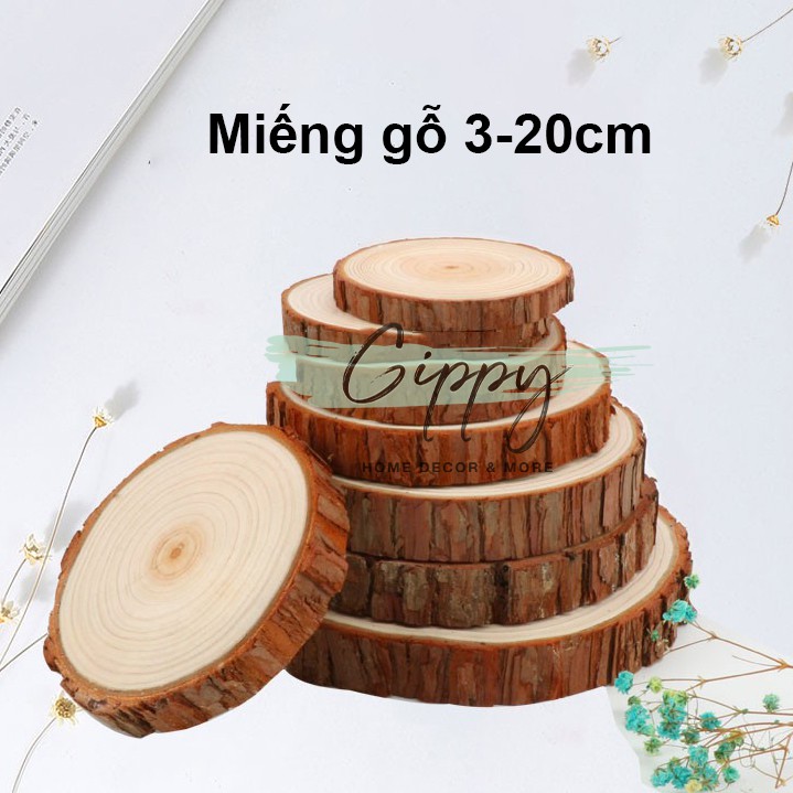 Miếng gỗ vân tròn phụ kiện chụp ảnh trang trí - Gippy Decor