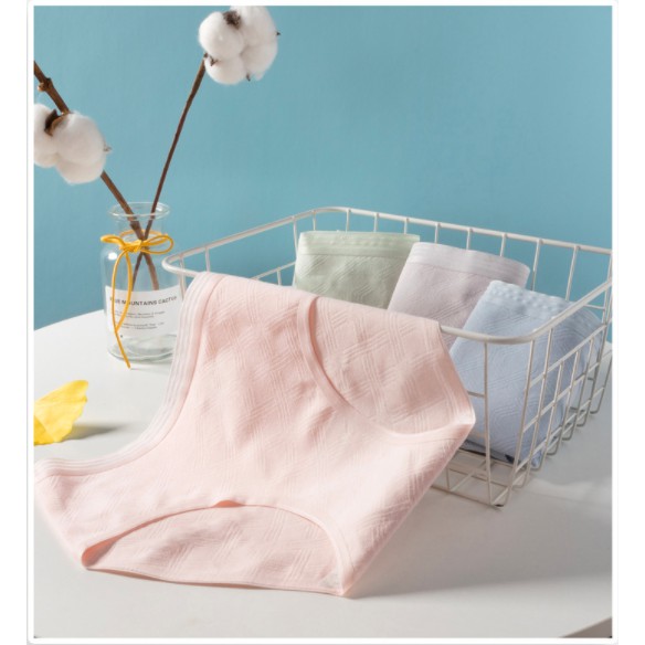 Quần lót nữ cotton cao cấp viền ren co giãn kháng khuẩn siêu đẹp QL13 | BigBuy360 - bigbuy360.vn