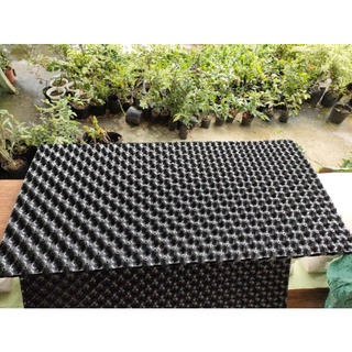 2 mét bầu ươm V6 (khổ cao 50cm)