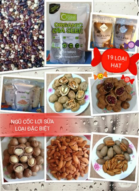 Hạt nghiền loại đặc biệt 20 loại hạt | BigBuy360 - bigbuy360.vn