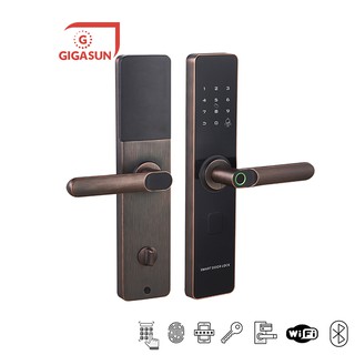 Khóa cửa vân tay Gigasun D01B