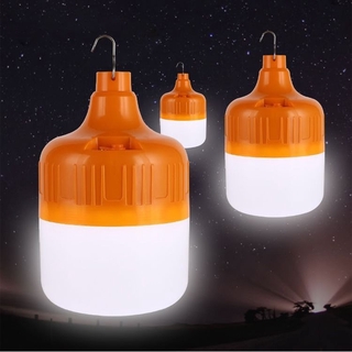 100W LED bulbs/night light/emergency light rechargeable, waterproof, portable with hooker