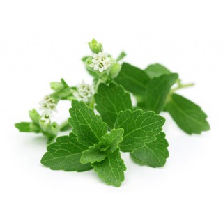 hạt giống cỏ ngọt f1