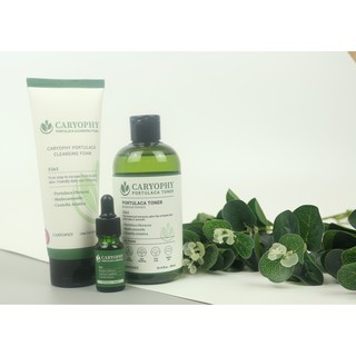 Caryophy [ Ampule + Toner] Tặng sữa rửa mặt Caryophy trị giá 320k