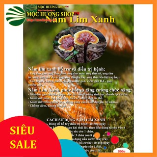 500G Nấm Lim Xanh Quảng Nam