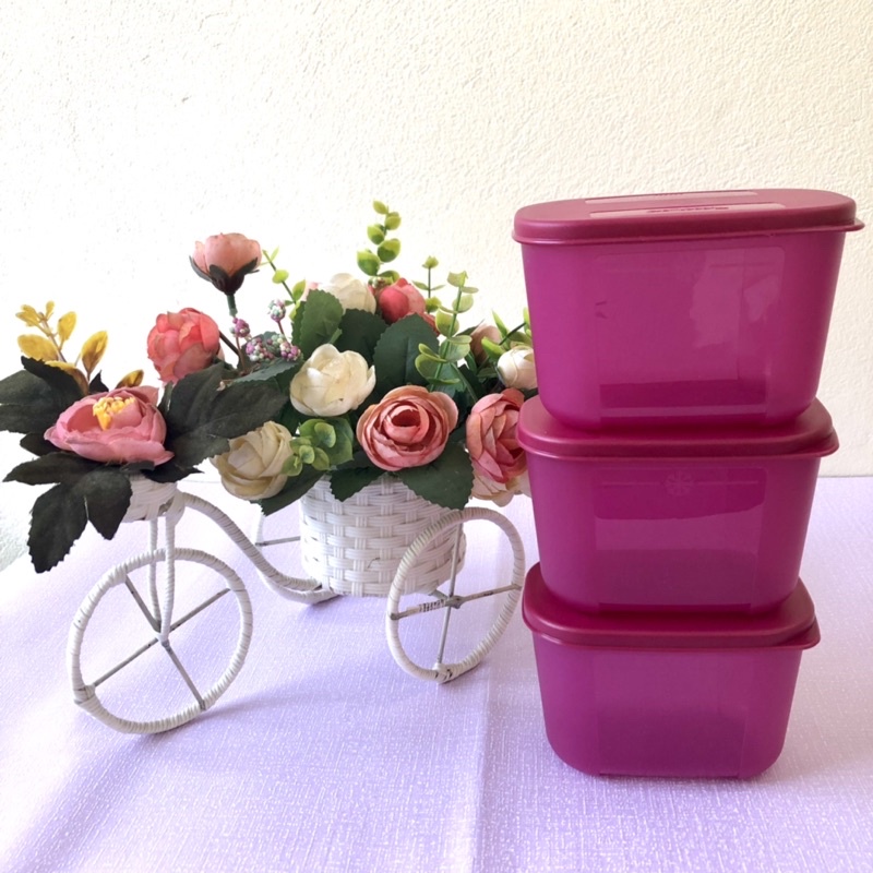 Tupperware Hộp Đựng Thực Phẩm Bảo Quản Trữ Đông Trữ Mát Tủ Lạnh Hộp Nhựa Nguyên Sinh Cao Cấp 300ml - Lamian Home & Decor