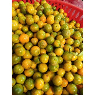 Tắc sấy đường phèn