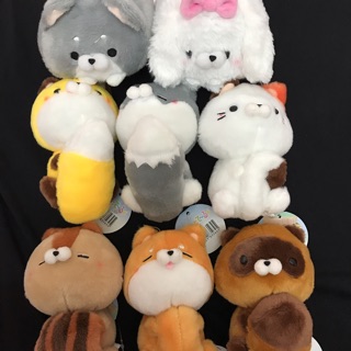 Combo gấu của chị dung