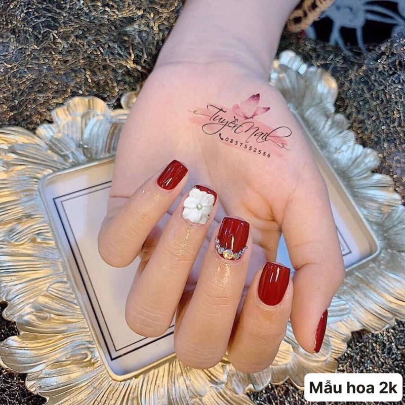 Hoa Bột Gắn Móng Giá Rẻ