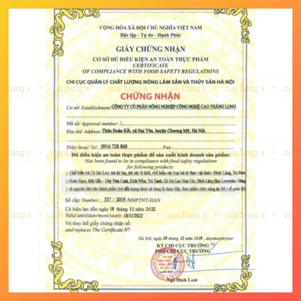 Cà gai leo trà túi lọc tiện dụng SADU 250g hỗ trợ điều trị về gan (ATTP) | BigBuy360 - bigbuy360.vn