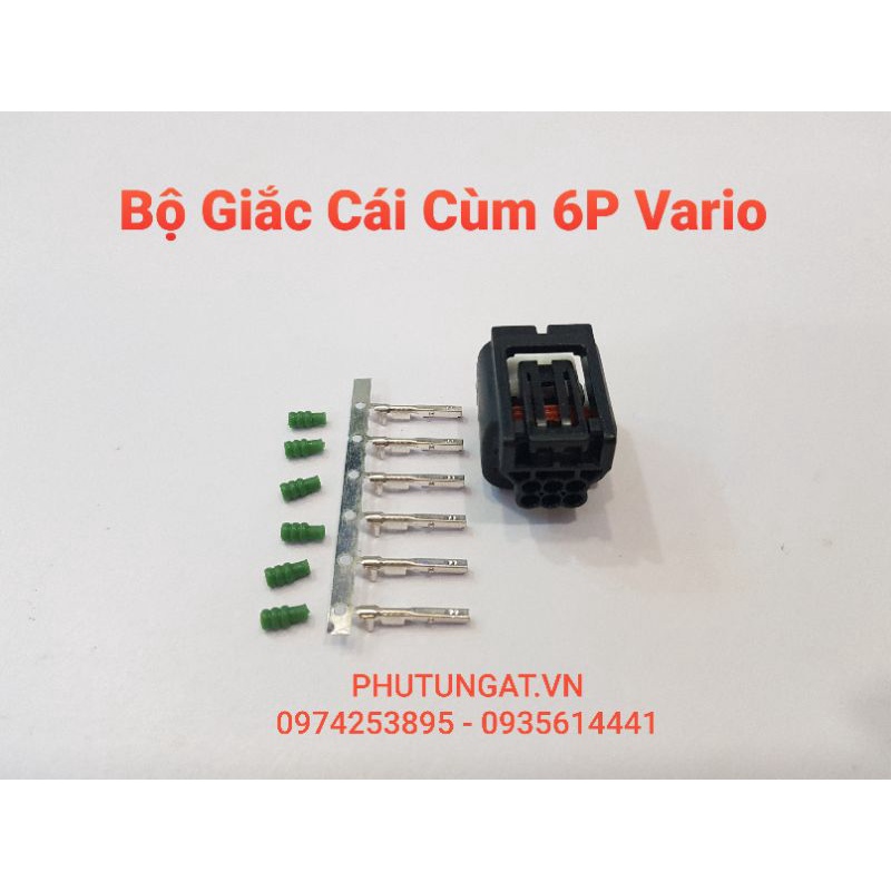 Bộ Giắc Cùm 6P 6 lỗ Vario gồm nhựa cos và su như hình
