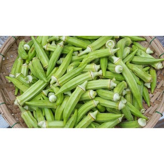 HẠT GIỐNG ĐẬU BẮP XANH ẤN ĐỘ