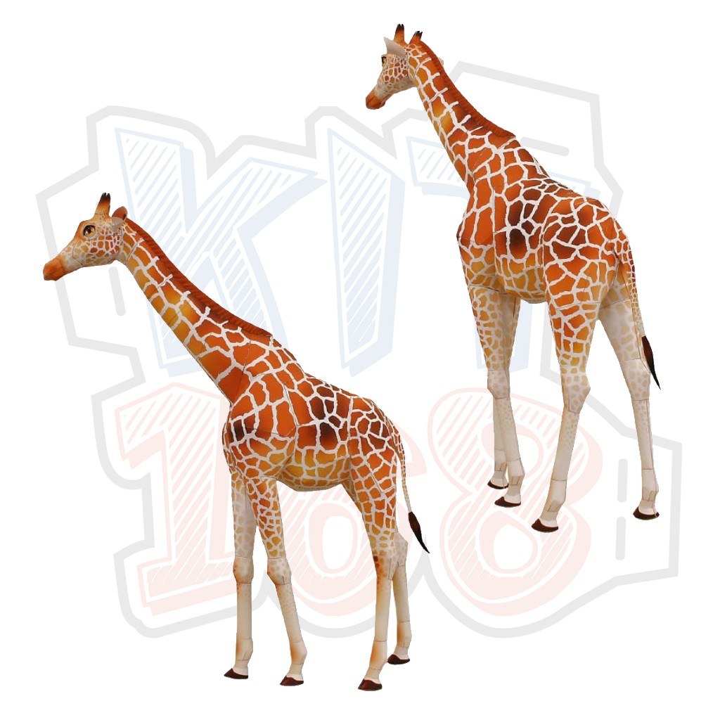 Mô hình giấy động vật Giraffe - Hươu cao cổ