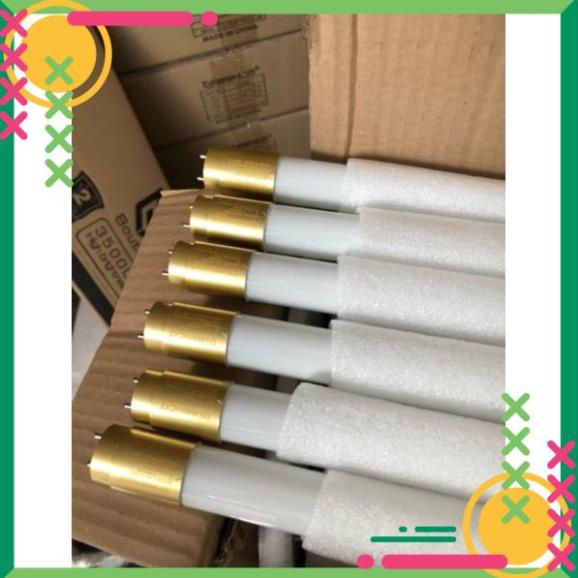 Bóng Đèn Tuýp Led 1m2 T8 thuỷ tinh đầu nhựa Vàng 30W hiệu Esnco bảo hành 12 tháng